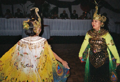 peacockdance2.jpg